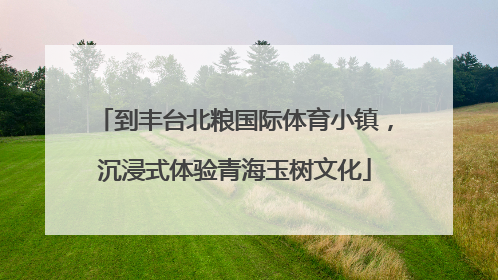 到丰台北粮国际体育小镇，沉浸式体验青海玉树文化